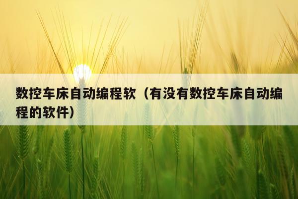 数控车床自动编程软（有没有数控车床自动编程的软件）