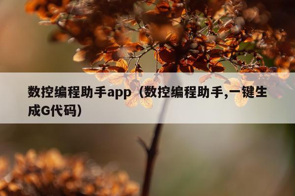 数控编程助手app（数控编程助手,一键生成G代码）