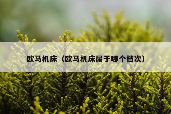 欧马机床(欧马机床属于哪个档次)