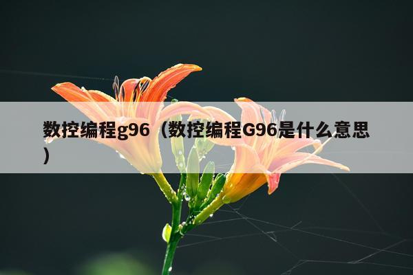 数控编程g96（数控编程G96是什么意思）