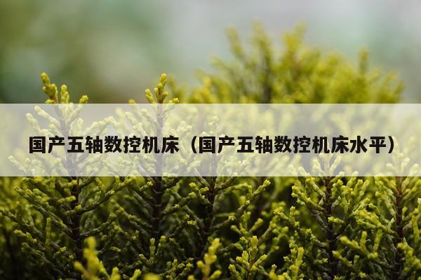 国产五轴数控机床(国产五轴数控机床水平)