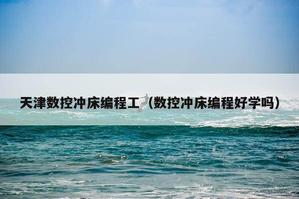 天津数控冲床编程工（数控冲床编程好学吗）