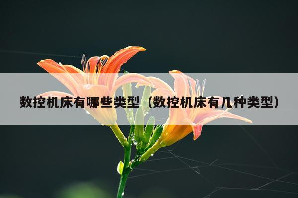 数控机床有哪些类型（数控机床有几种类型）