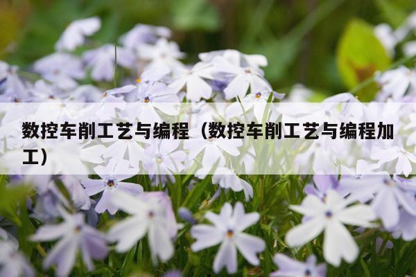 数控车削工艺与编程（数控车削工艺与编程加工）