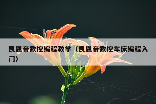 凯恩帝数控编程教学（凯恩帝数控车床编程入门）