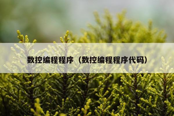 数控编程程序（数控编程程序代码）