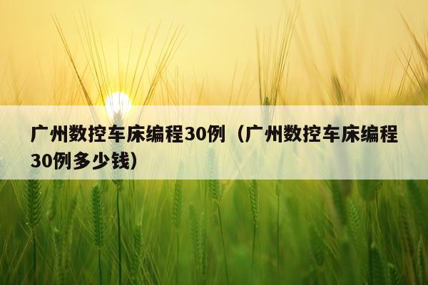 广州数控车床编程30例（广州数控车床编程30例多少钱）