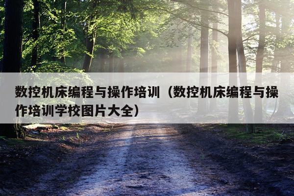 数控机床编程与操作培训（数控机床编程与操作培训学校图片大全）