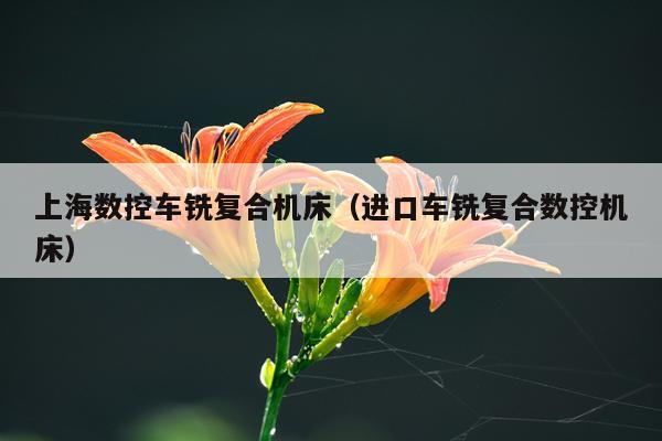 上海数控车铣复合机床（进口车铣复合数控机床）