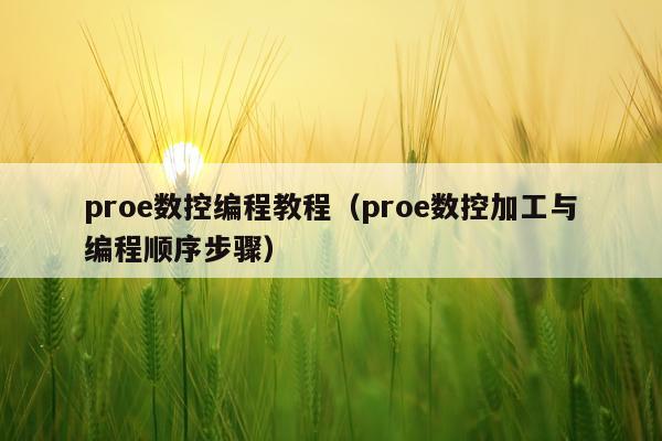 proe数控编程教程（proe数控加工与编程顺序步骤）