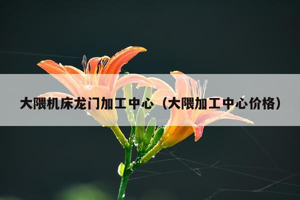 大隈机床龙门加工中心（大隈加工中心价格）