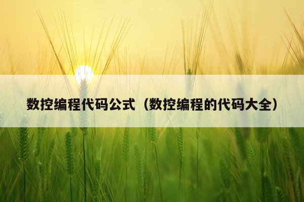 数控编程代码公式(数控编程的代码大全)