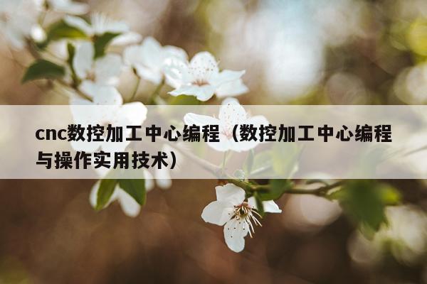 cnc数控加工中心编程(数控加工中心编程与操作实用技术)