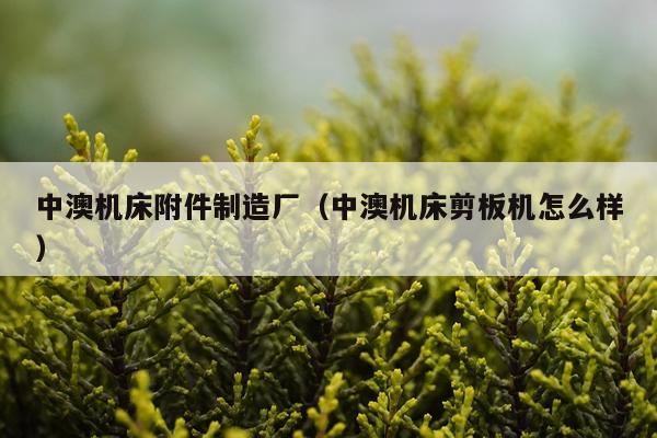 中澳机床附件制造厂（中澳机床剪板机怎么样）