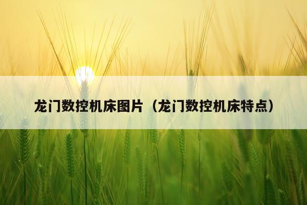 龙门数控机床图片（龙门数控机床特点）