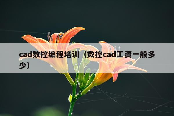 cad数控编程培训（数控cad工资一般多少）