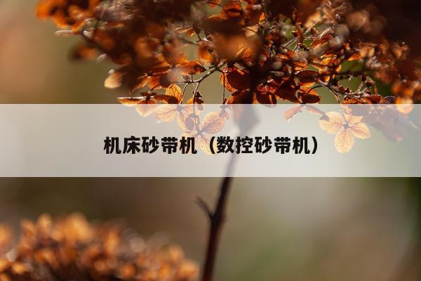 机床砂带机（数控砂带机）
