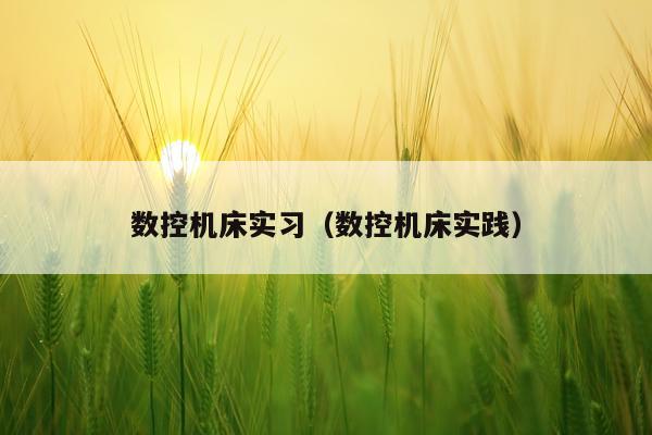数控机床实习（数控机床实践）