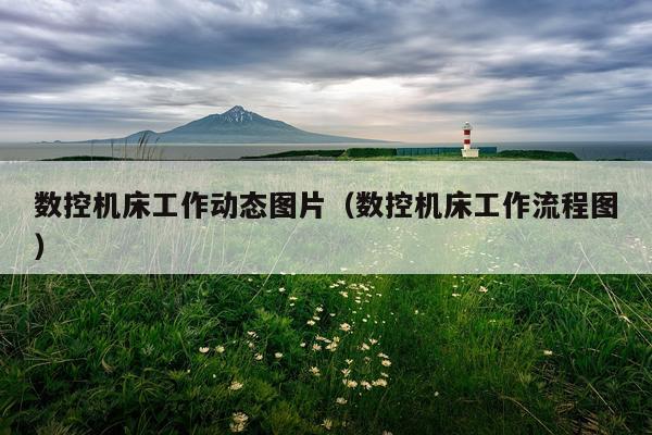 数控机床工作动态图片（数控机床工作流程图）