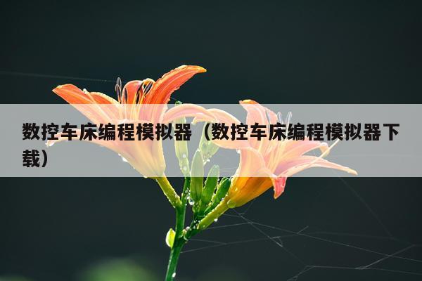 数控车床编程模拟器（数控车床编程模拟器下载）