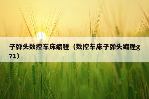 子弹头数控车床编程（数控车床子弹头编程g71）