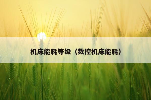 机床能耗等级（数控机床能耗）