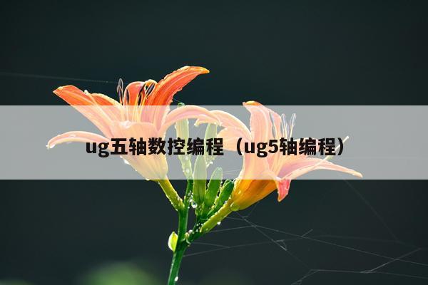 ug五轴数控编程（ug5轴编程）
