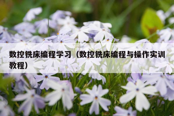 数控铣床编程学习（数控铣床编程与操作实训教程）