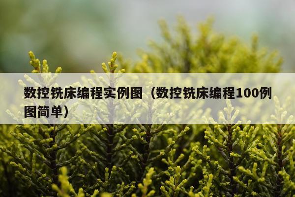 数控铣床编程实例图（数控铣床编程100例图简单）
