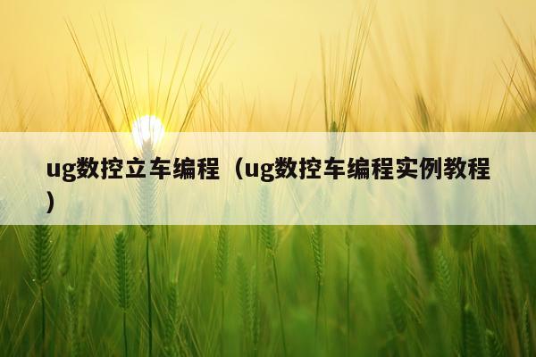 ug数控立车编程（ug数控车编程实例教程）