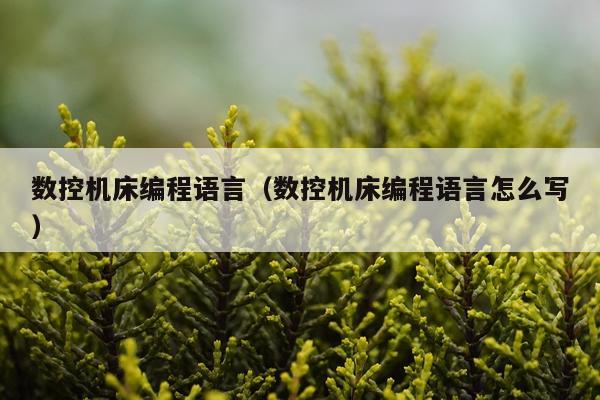数控机床编程语言(数控机床编程语言怎么写)