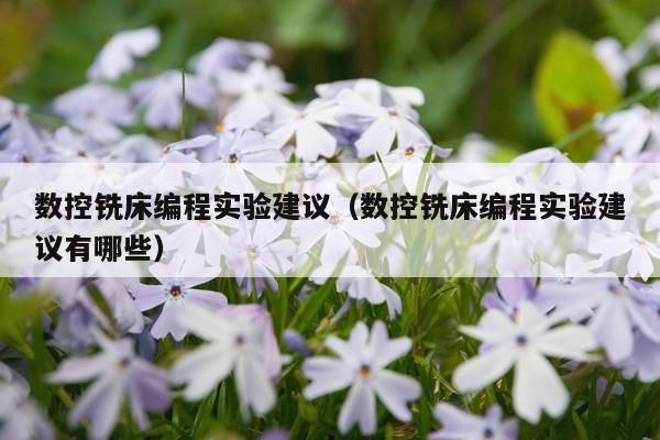 数控铣床编程实验建议(数控铣床编程实验建议有哪些)
