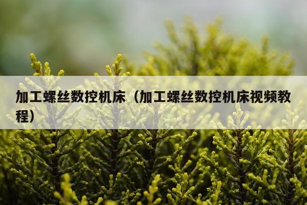 加工螺丝数控机床(加工螺丝数控机床视频教程)