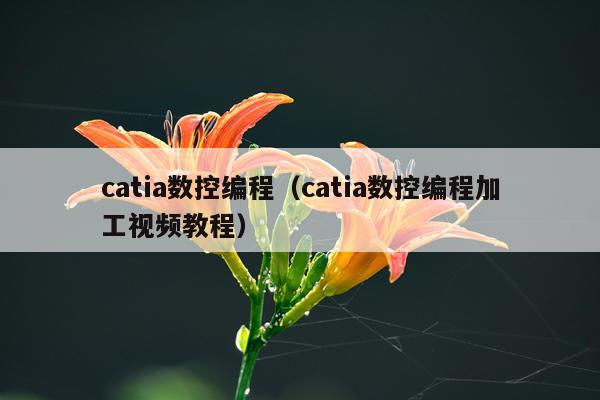 catia数控编程（catia数控编程加工视频教程）