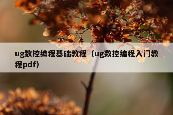 ug数控编程基础教程（ug数控编程入门教程pdf）