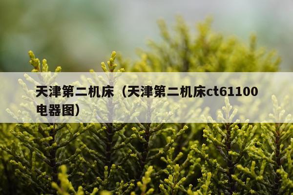 天津第二机床（天津第二机床ct61100电器图）