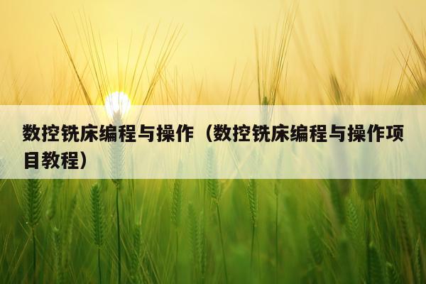 数控铣床编程与操作（数控铣床编程与操作项目教程）
