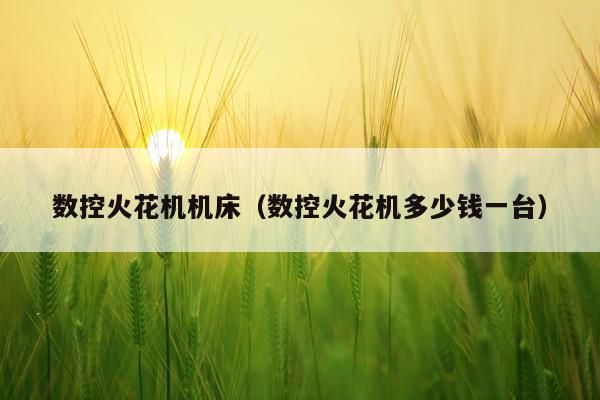 数控火花机机床（数控火花机多少钱一台）