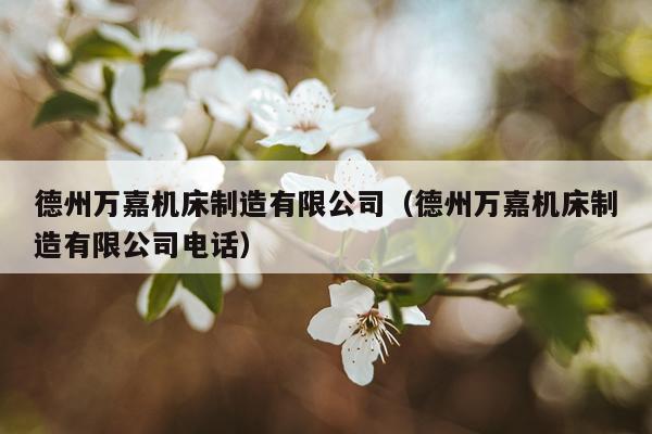 德州万嘉机床制造有限公司（德州万嘉机床制造有限公司电话）