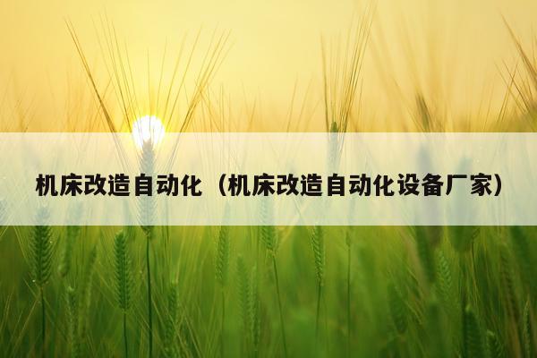 机床改造自动化（机床改造自动化设备厂家）