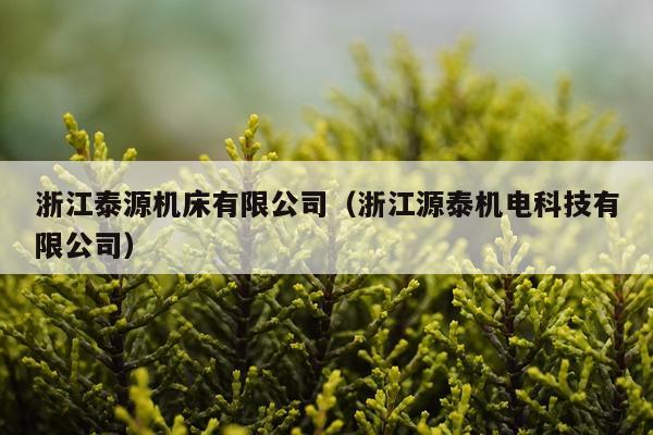 浙江泰源机床有限公司（浙江源泰机电科技有限公司）