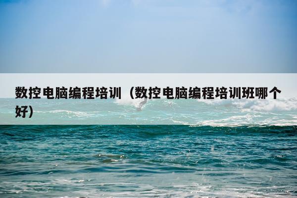 数控电脑编程培训（数控电脑编程培训班哪个好）