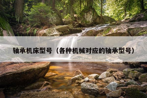 轴承机床型号（各种机械对应的轴承型号）