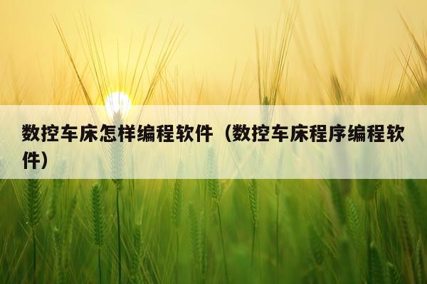 数控车床怎样编程软件（数控车床程序编程软件）