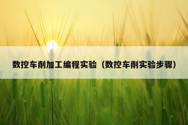 数控车削加工编程实验（数控车削实验步骤）