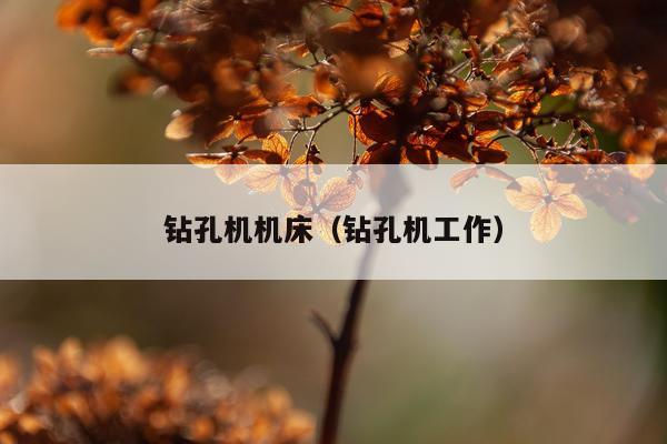 钻孔机机床(钻孔机工作)
