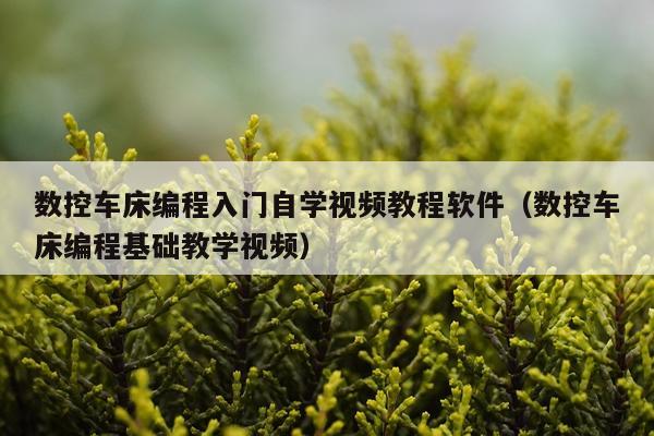 数控车床编程入门自学视频教程软件（数控车床编程基础教学视频）