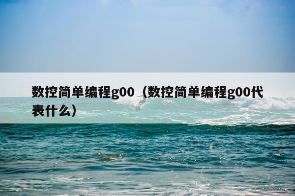 数控简单编程g00（数控简单编程g00代表什么）