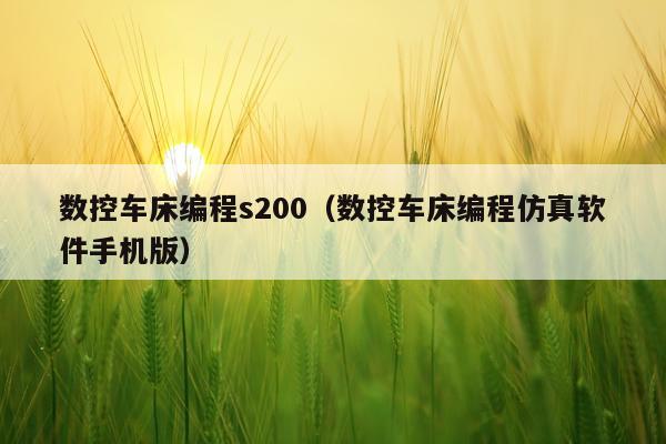 数控车床编程s200（数控车床编程仿真软件手机版）