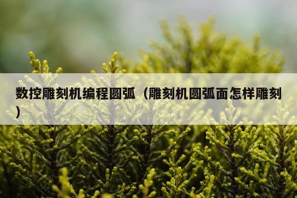 数控雕刻机编程圆弧（雕刻机圆弧面怎样雕刻）